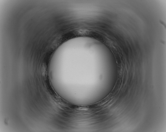 X0000096720651200802051101