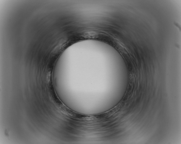 X0000096720652200802051101