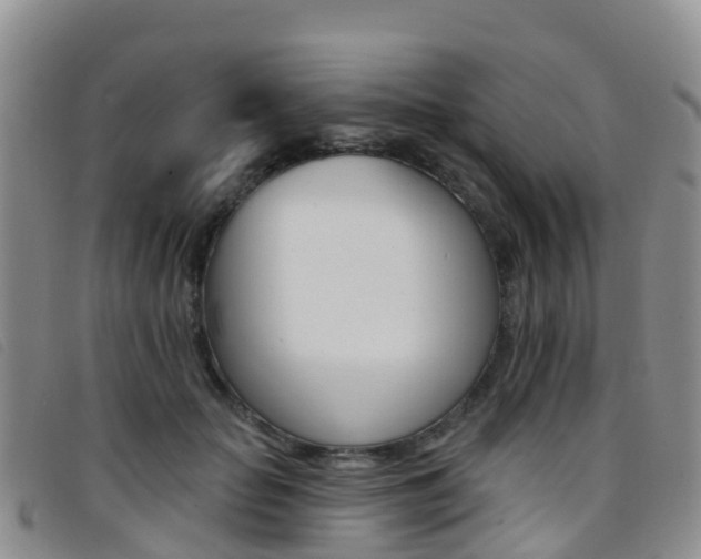 X0000096720653200802051101