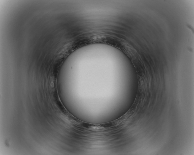 X0000096720654200802051101