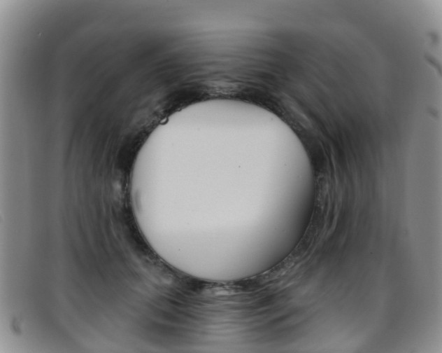 X0000096720655200802051101