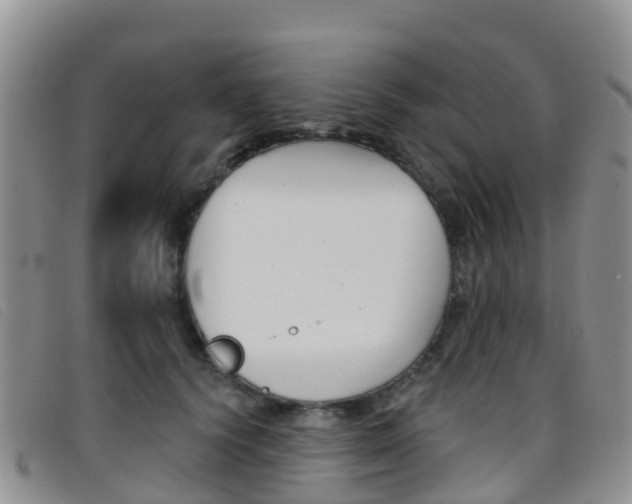X0000096720656200802051101