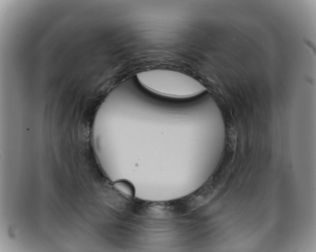X0000096720657200802051101