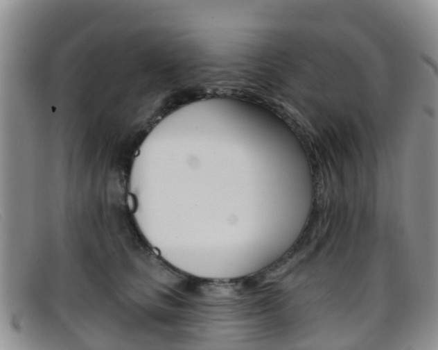 X0000096720661200802051101