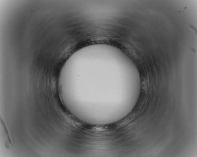 X0000096720662200802051101