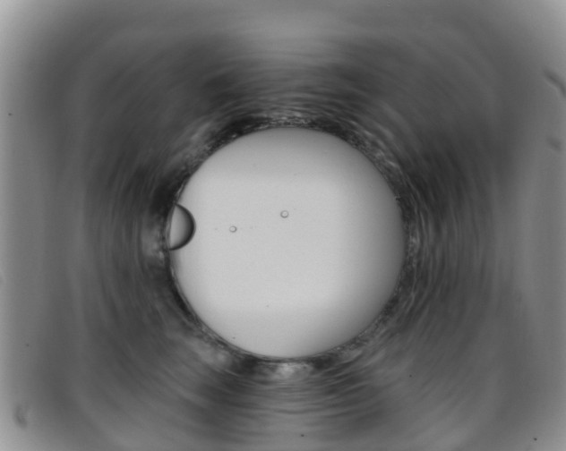 X0000096720663200802051101