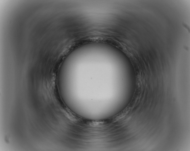 X0000096720664200802051101
