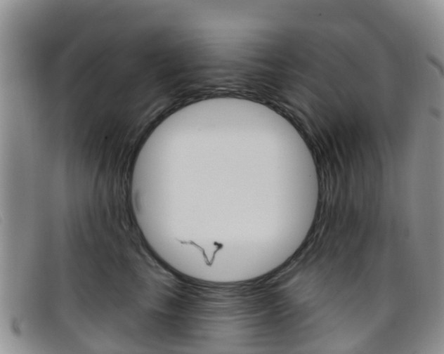 X0000096720665200802051101