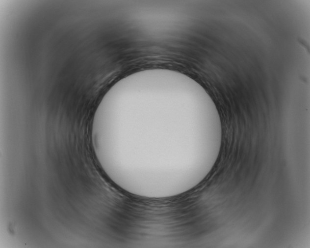 X0000096720666200802051101
