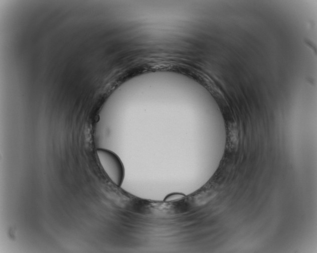 X0000096720667200802051101