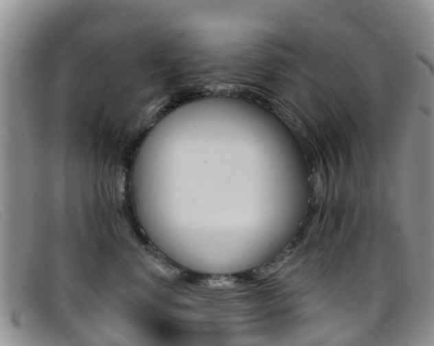X0000096720668200802051101