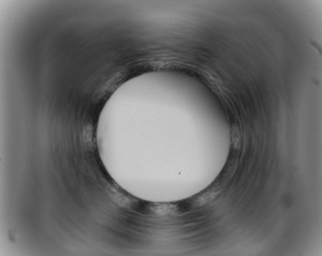 X0000096720670200802051101