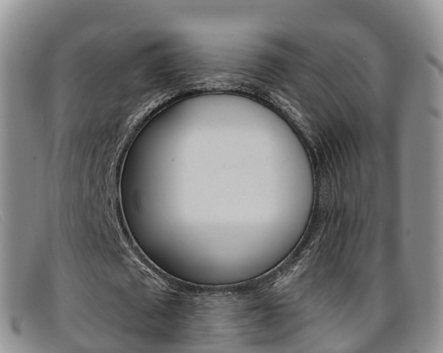X0000096720673200802051101