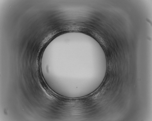 X0000096720674200802051101