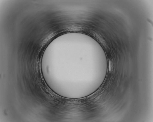 X0000096720675200802051101