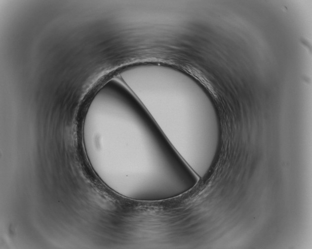 X0000096720676200802051101