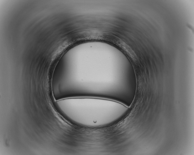 X0000096720677200802051100