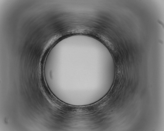 X0000096720678200802051100
