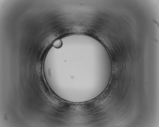 X0000096720679200802051100