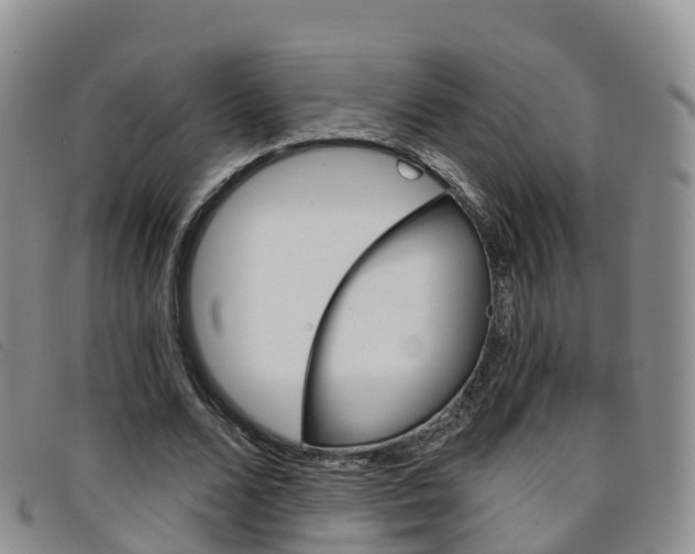 X0000096720680200802051100