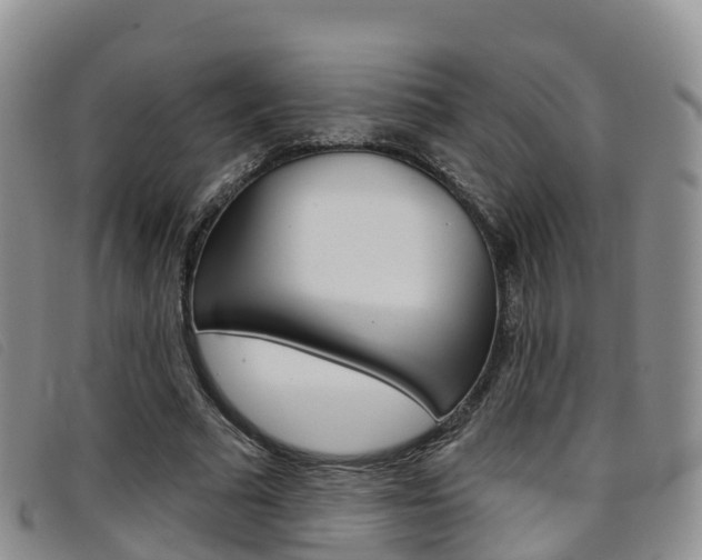 X0000096720681200802051100