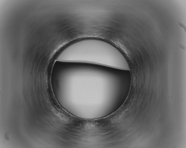 X0000096720684200802051100