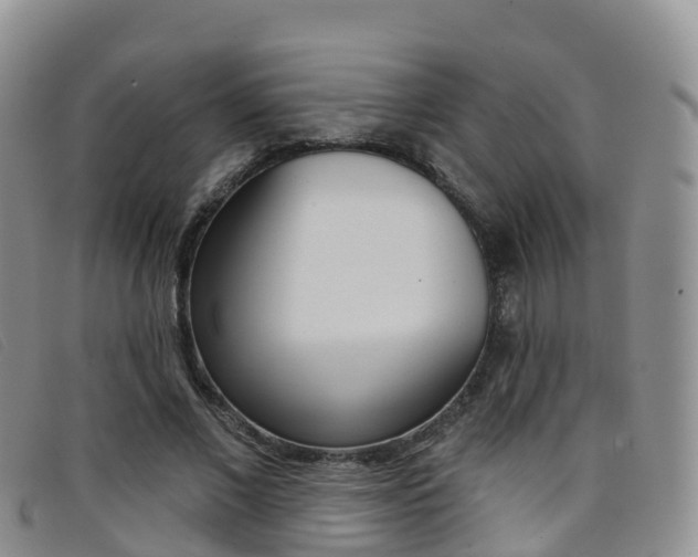 X0000096720685200802051100