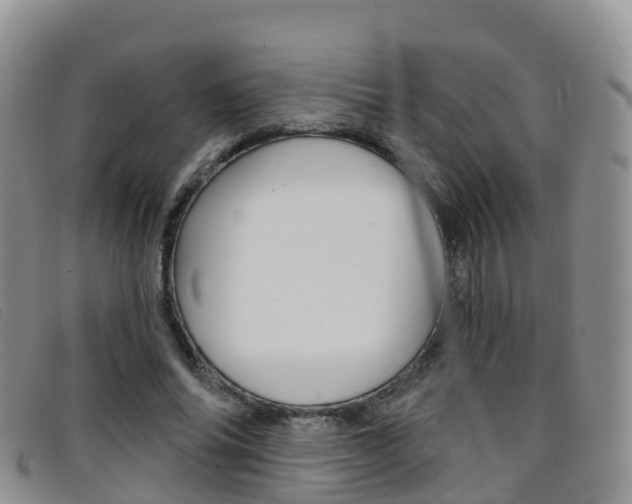 X0000096720686200802051100
