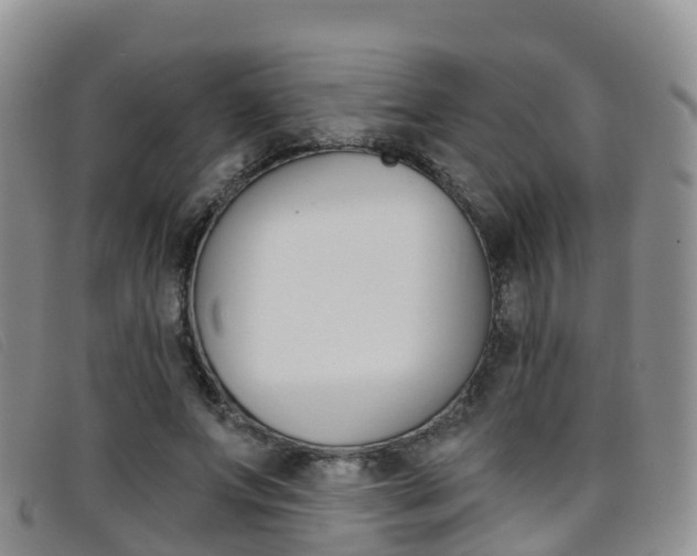 X0000096720687200802051100