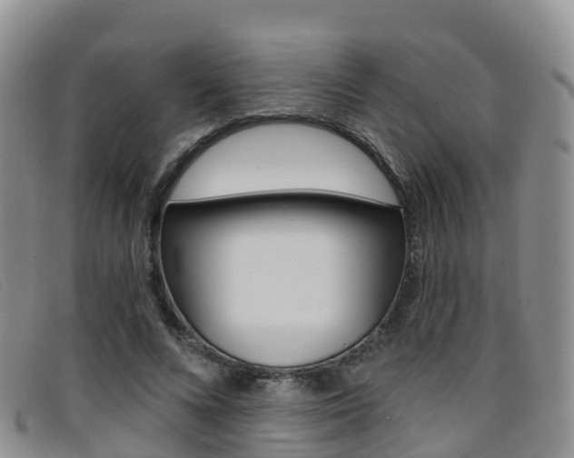 X0000096720688200802051100