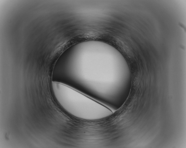 X0000096720689200802051100