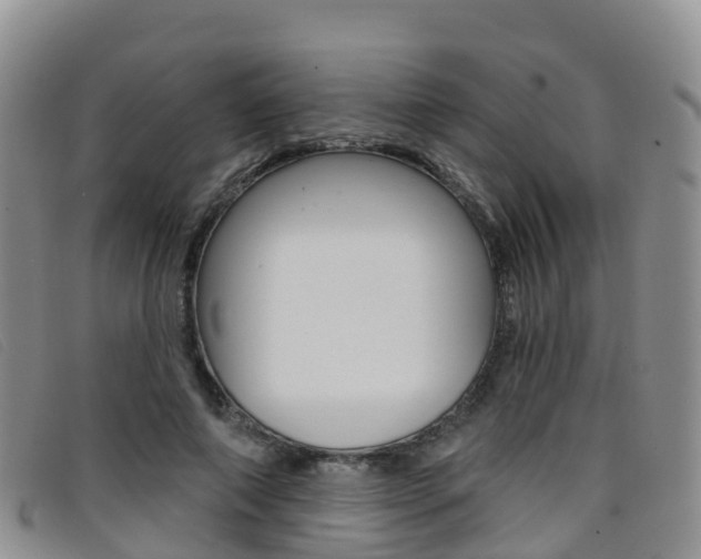 X0000096720690200802051100