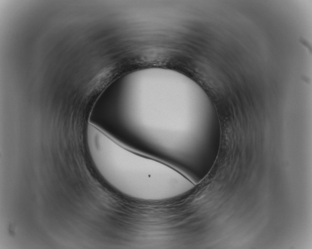 X0000096720693200802051100