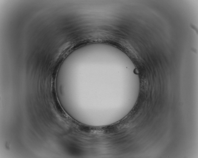 X0000096720694200802051100