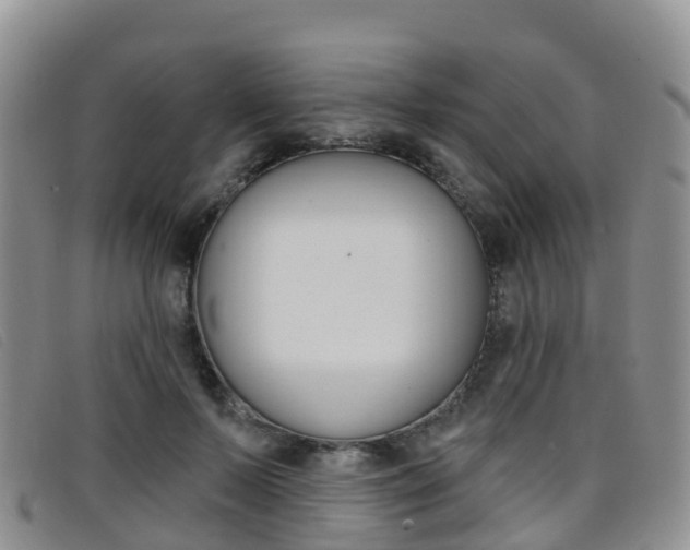 X0000096720695200802051100
