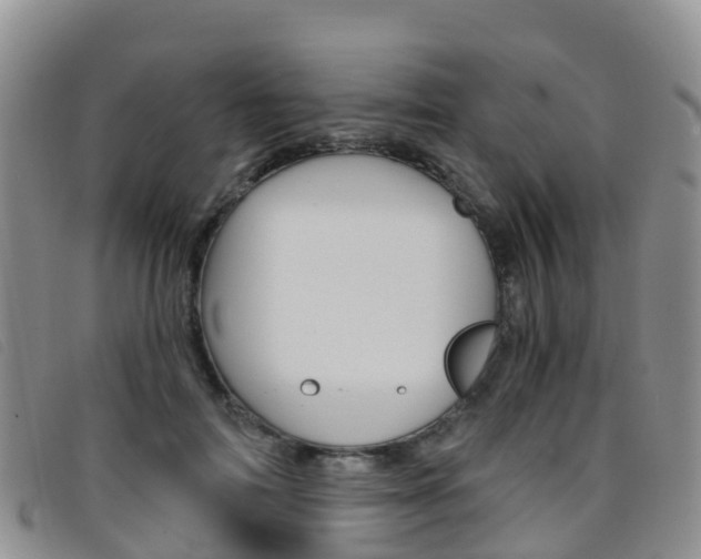 X0000096720698200802051100