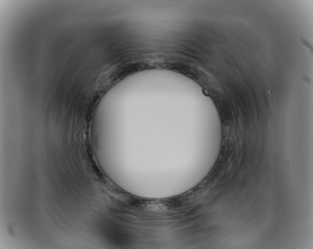 X0000096720702200802051100