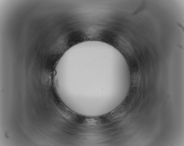 X0000096720703200802051100