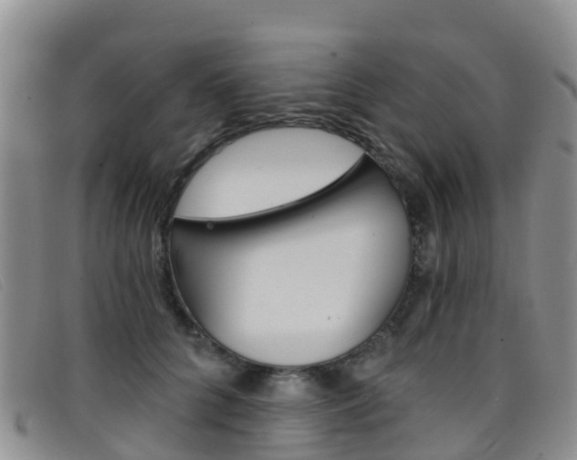 X0000096720704200802051100