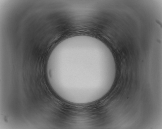 X0000096720705200802051100
