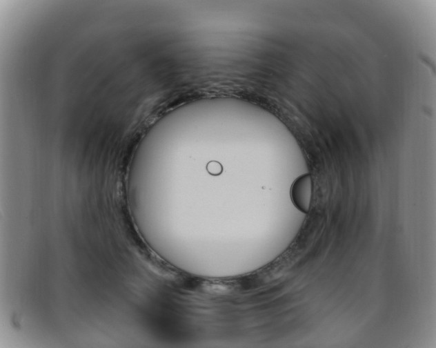 X0000096720706200802051100