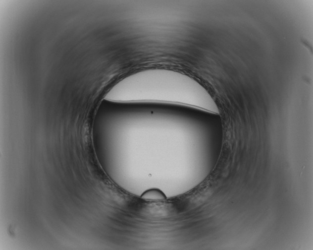 X0000096720708200802051100