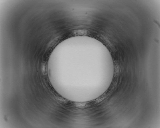 X0000096720709200802051100