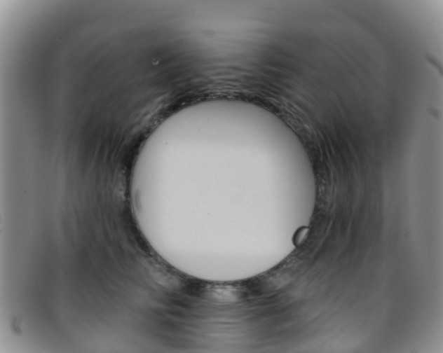 X0000096720710200802051100