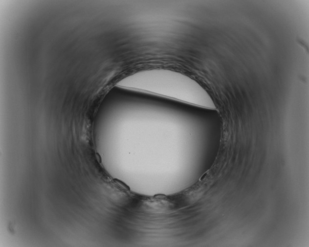 X0000096720712200802051100
