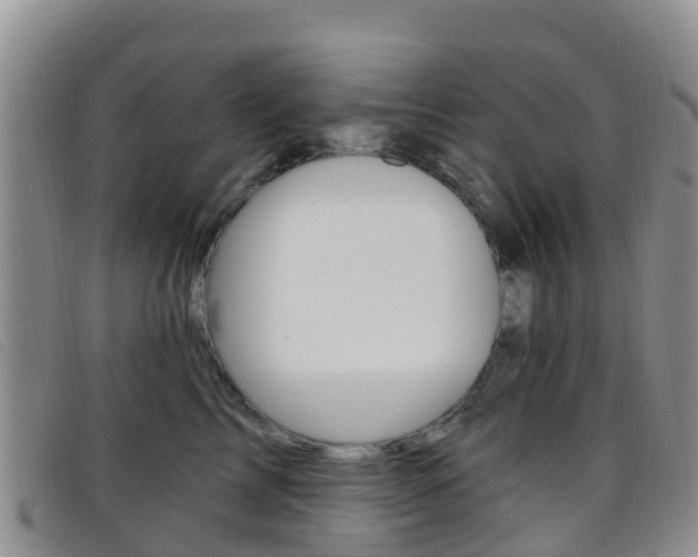 X0000096720713200802051100