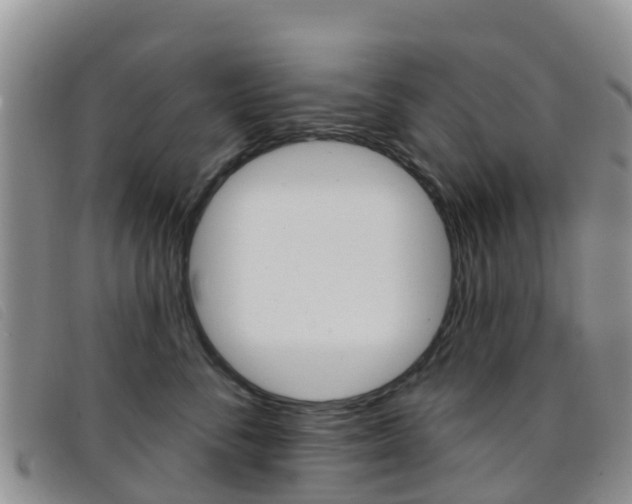 X0000096720716200802051100