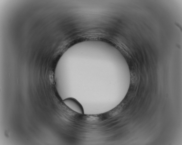 X0000096720718200802051100