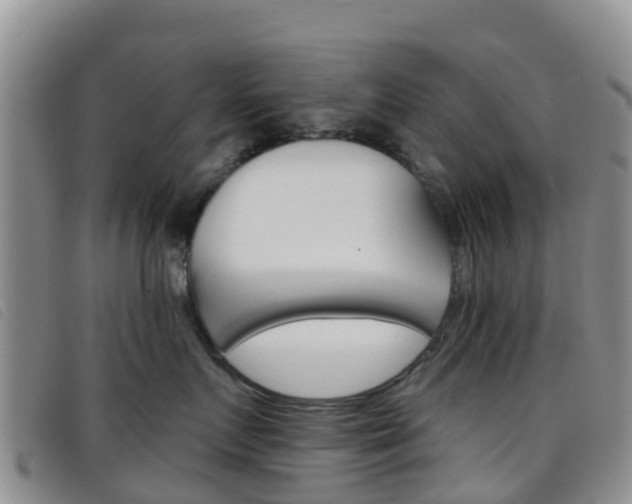 X0000096720719200802051100