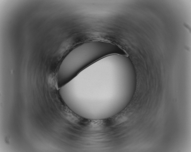 X0000096720720200802051100